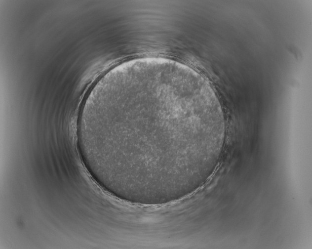 X0000111140002200907281121