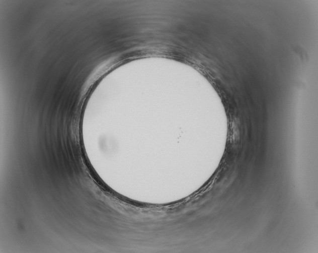 X0000111140004200907281121