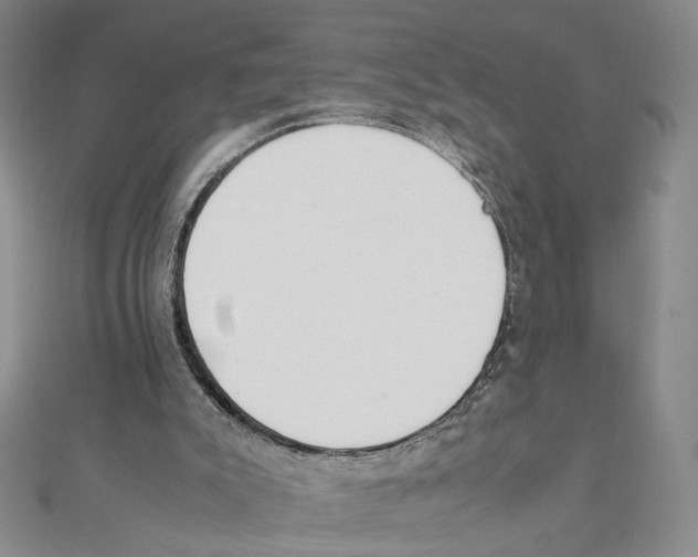 X0000111140007200907281121