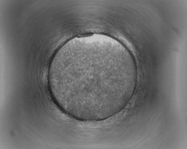 X0000111140009200907281121