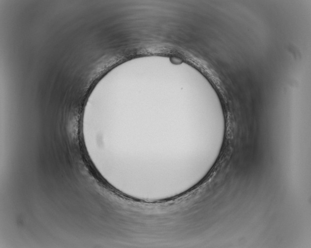 X0000111140010200907281121