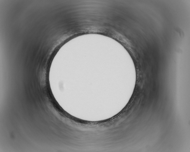 X0000111140012200907281121