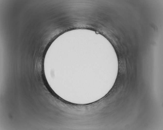 X0000111140015200907281121