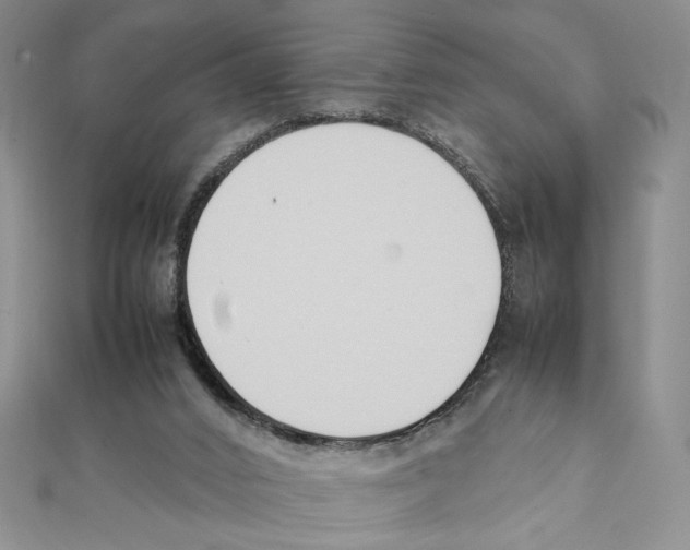 X0000111140016200907281121