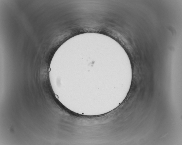 X0000111140017200907281121