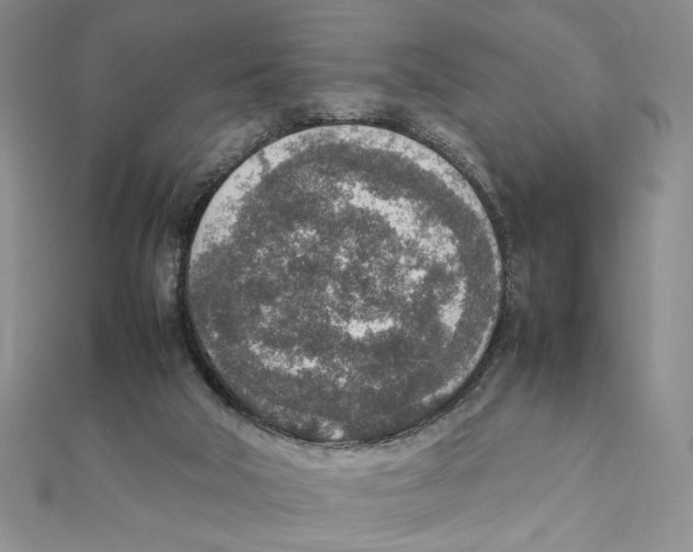 X0000111140018200907281121