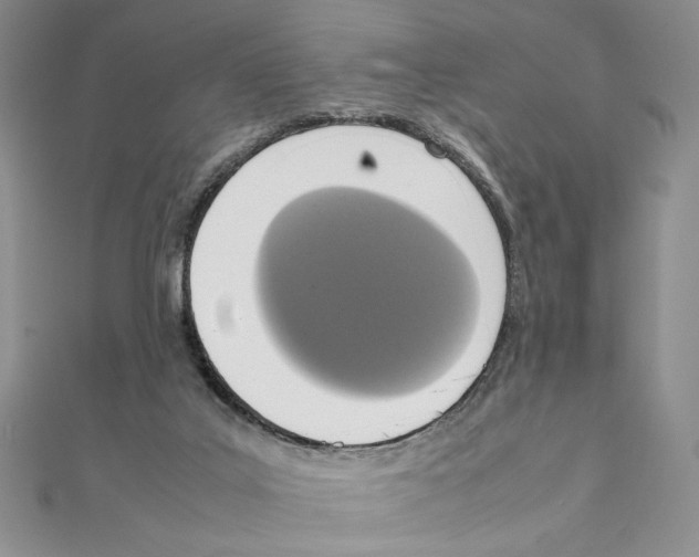 X0000111140019200907281121