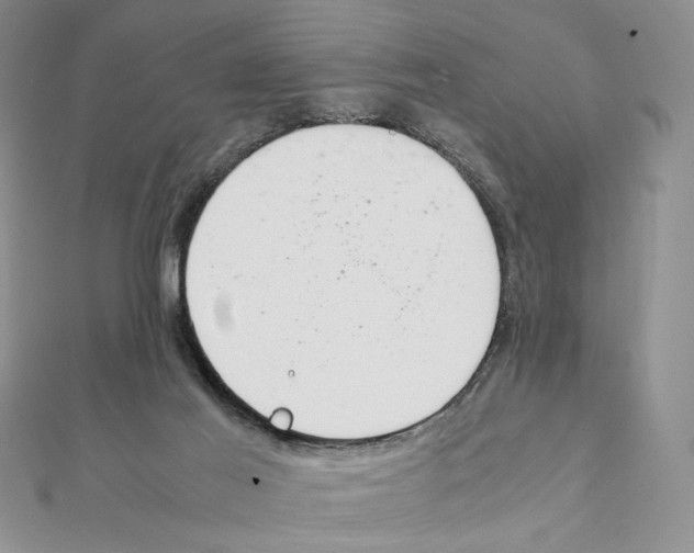 X0000111140021200907281121