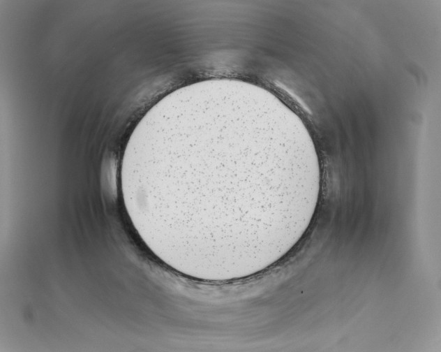 X0000111140022200907281121