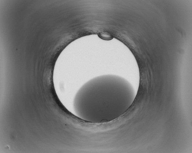 X0000111140023200907281121