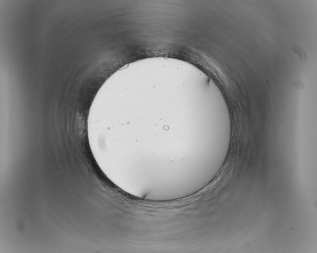 X0000111140025200907281121