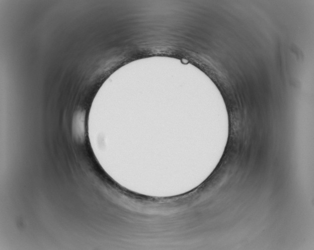 X0000111140028200907281121