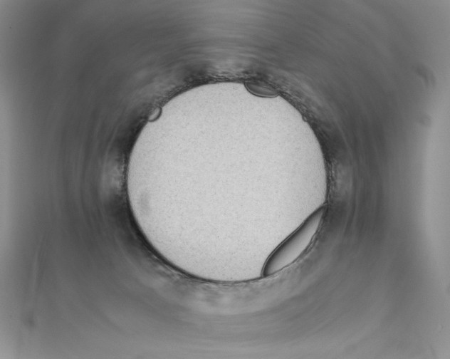 X0000111140033200907281121