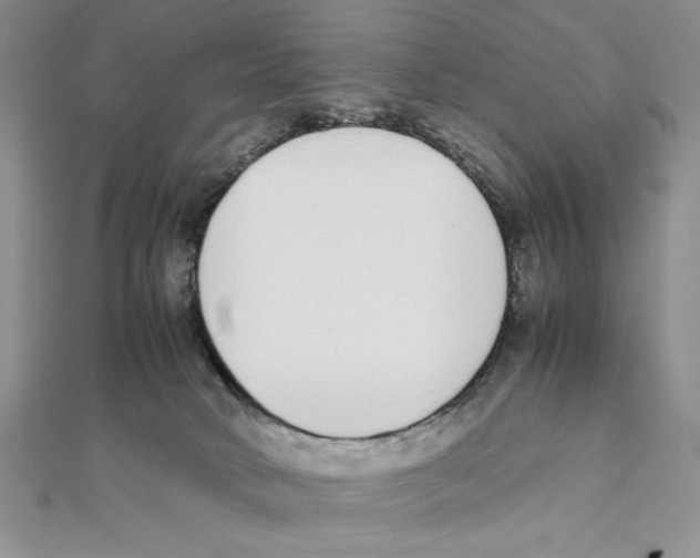 X0000111140034200907281121