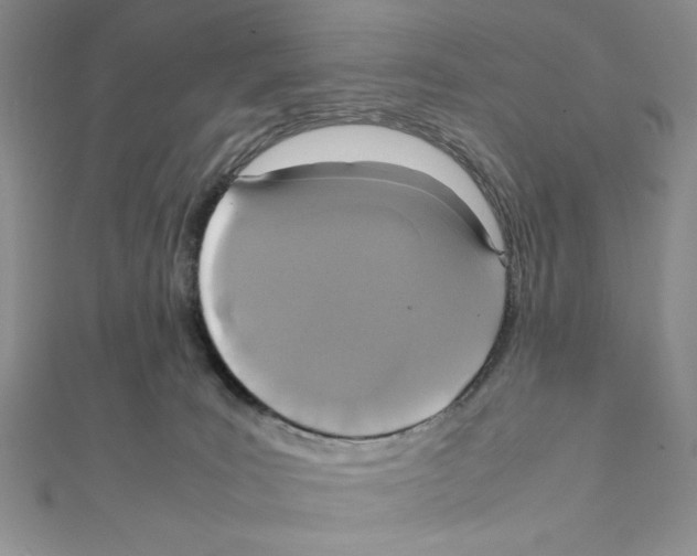 X0000111140035200907281121