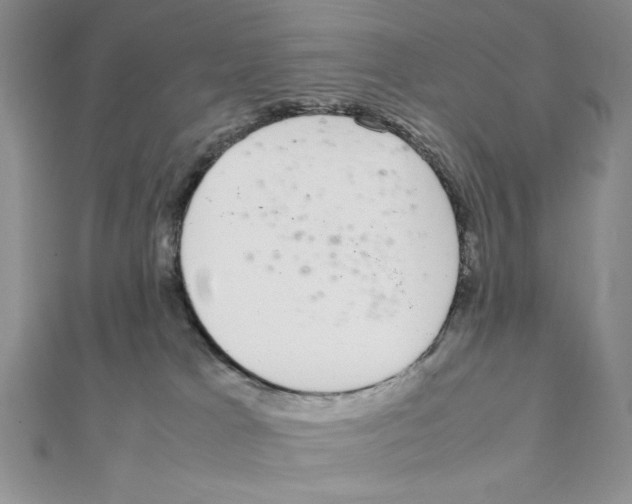 X0000111140037200907281121