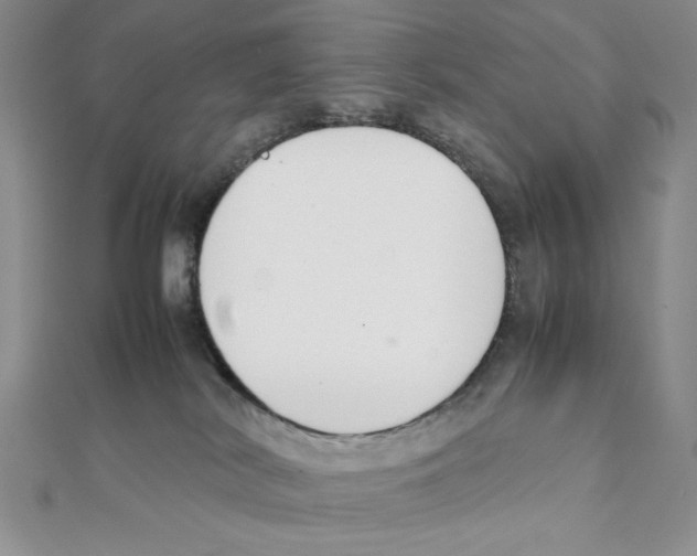 X0000111140038200907281121