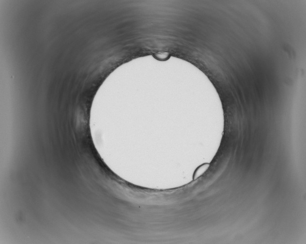 X0000111140040200907281121