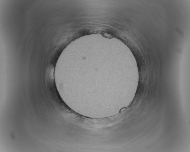 X0000111140041200907281121