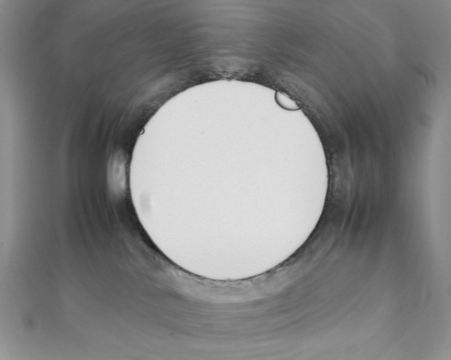 X0000111140042200907281121