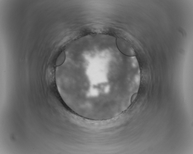 X0000111140043200907281121