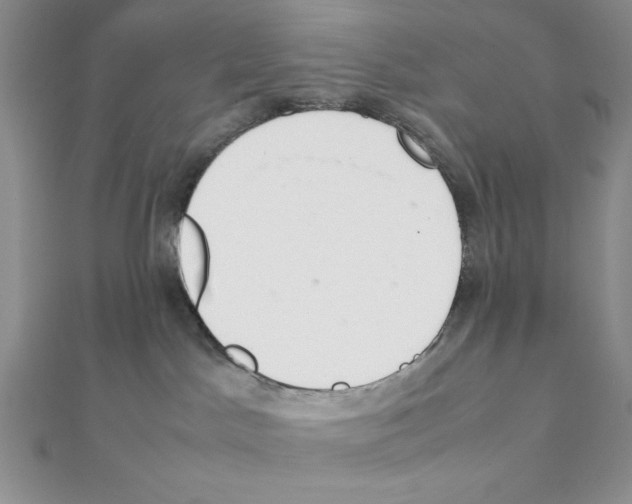 X0000111140045200907281121