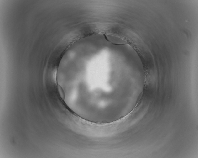 X0000111140047200907281121