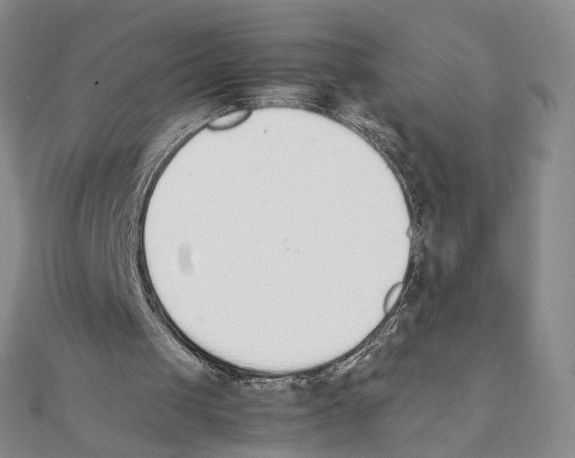 X0000111140049200907281120