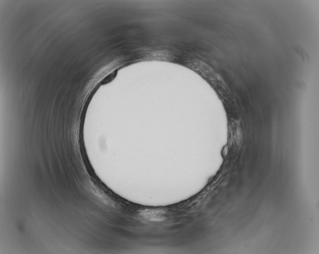 X0000111140051200907281120