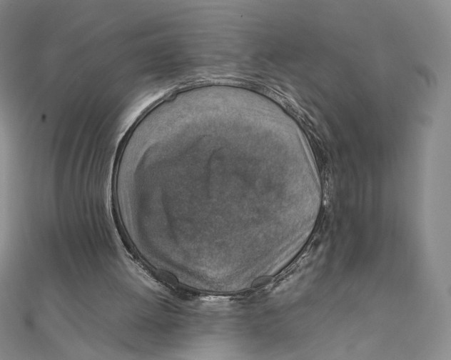 X0000111140052200907281120