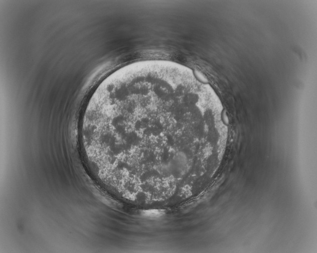 X0000111140053200907281120