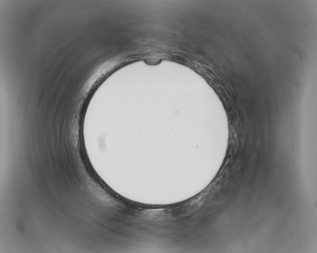 X0000111140054200907281120