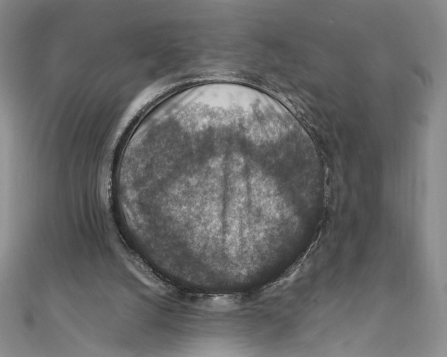 X0000111140056200907281120