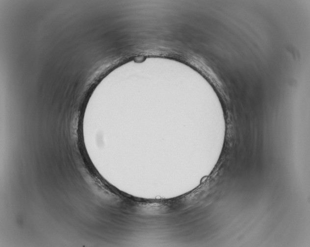 X0000111140058200907281120