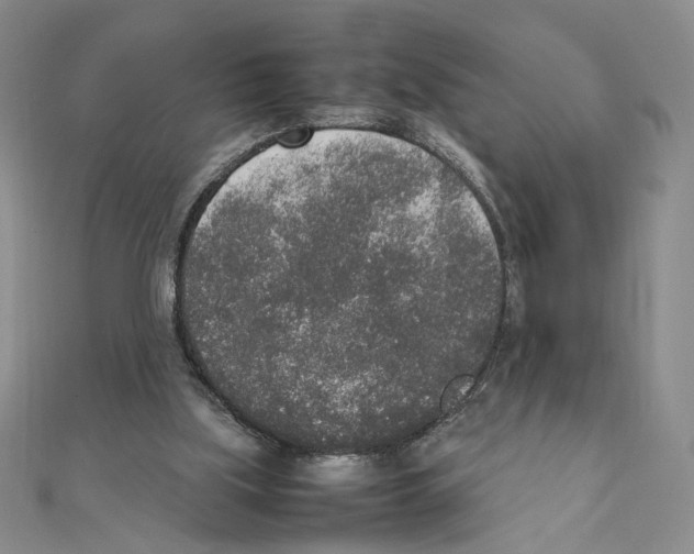 X0000111140059200907281120