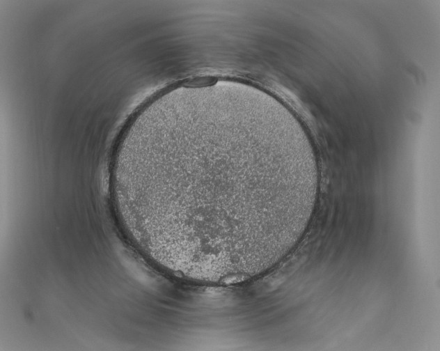 X0000111140060200907281120