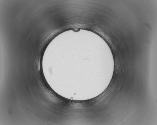 X0000111140062200907281120