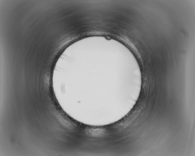 X0000111140063200907281120