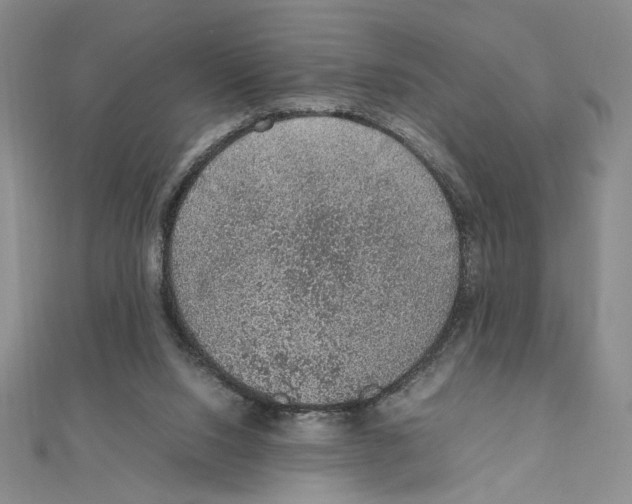 X0000111140064200907281120