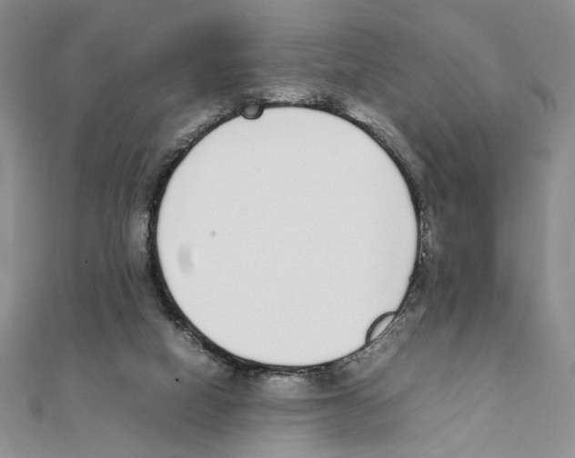 X0000111140066200907281120