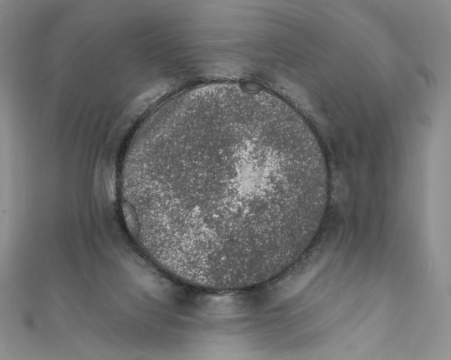 X0000111140068200907281120