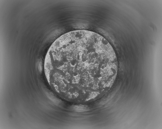 X0000111140069200907281120