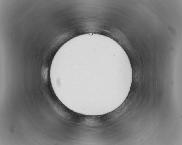 X0000111140070200907281120