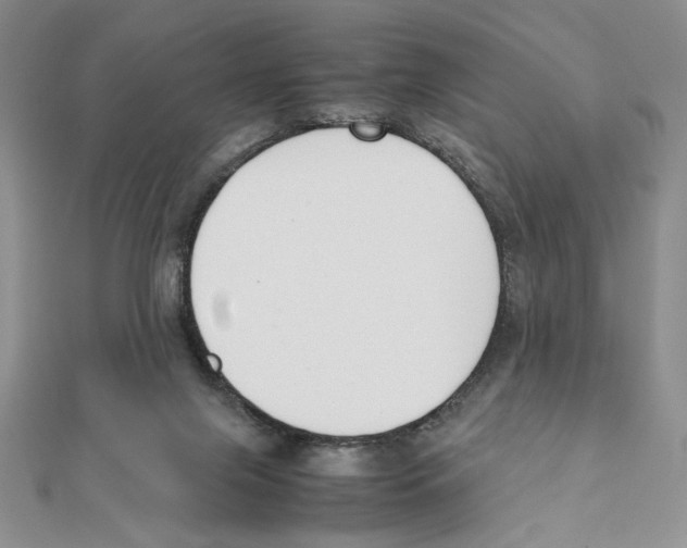 X0000111140071200907281120