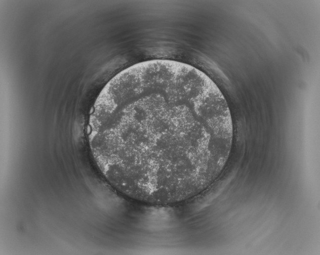 X0000111140073200907281120