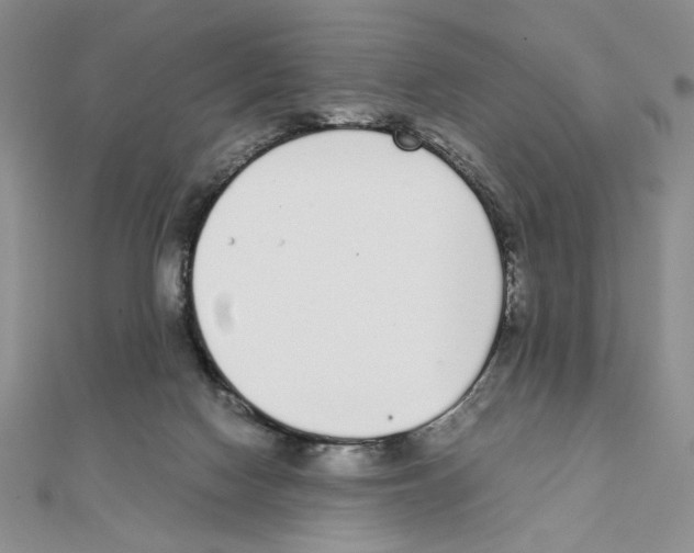 X0000111140074200907281120