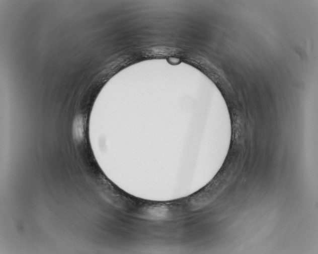 X0000111140075200907281120