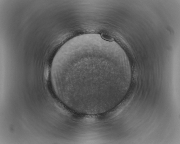 X0000111140076200907281120