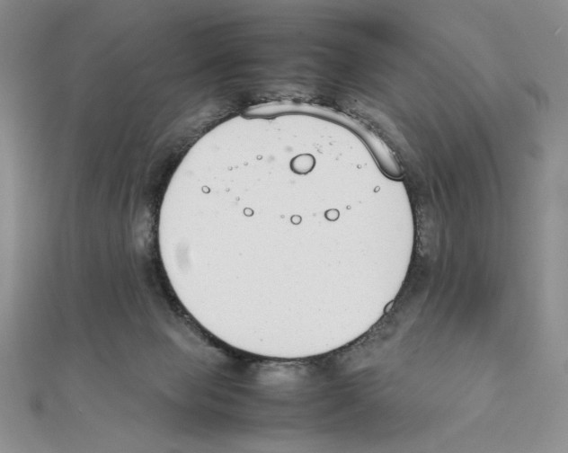 X0000111140077200907281120