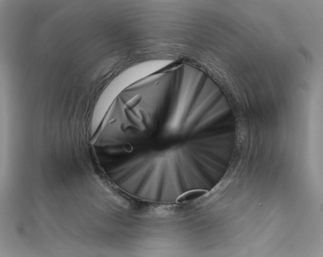 X0000111140078200907281120